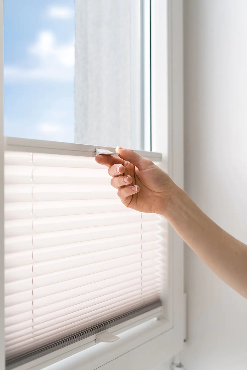 fenster koennen mehr fenster wissen plissee