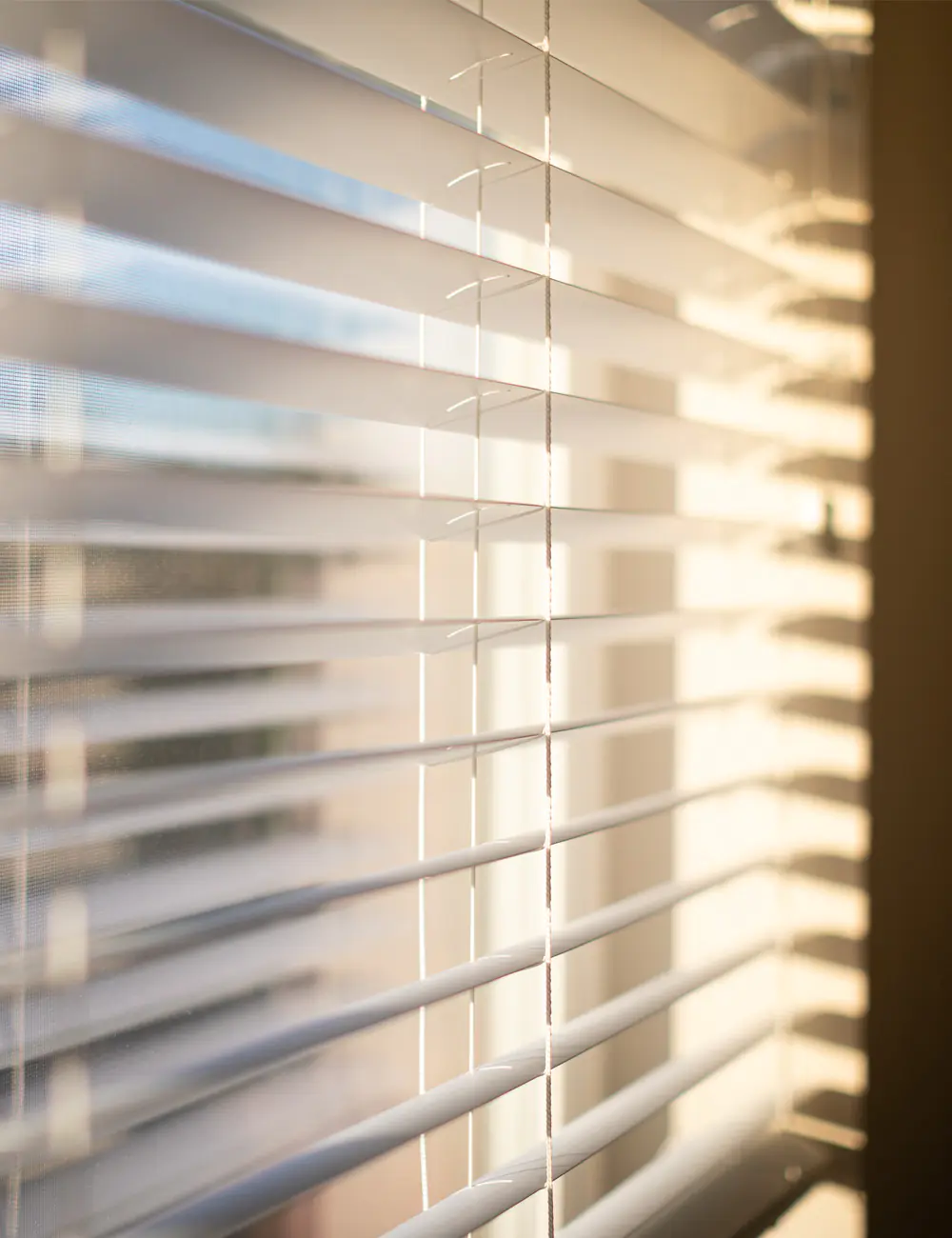 fenster koennen mehr jalousien