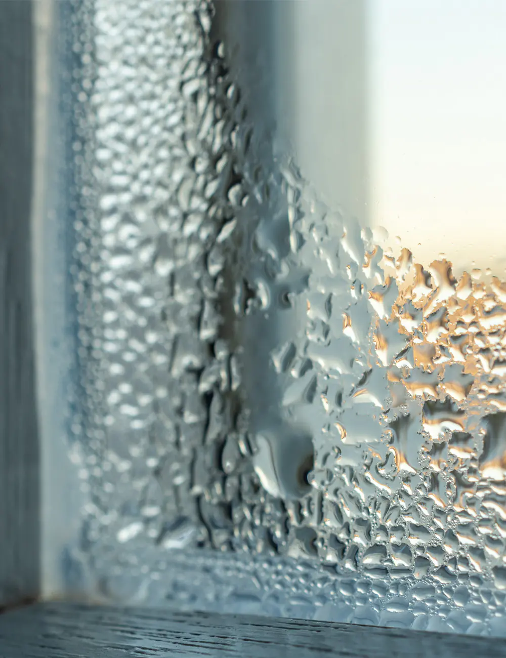 fenster koennen mehr tau
