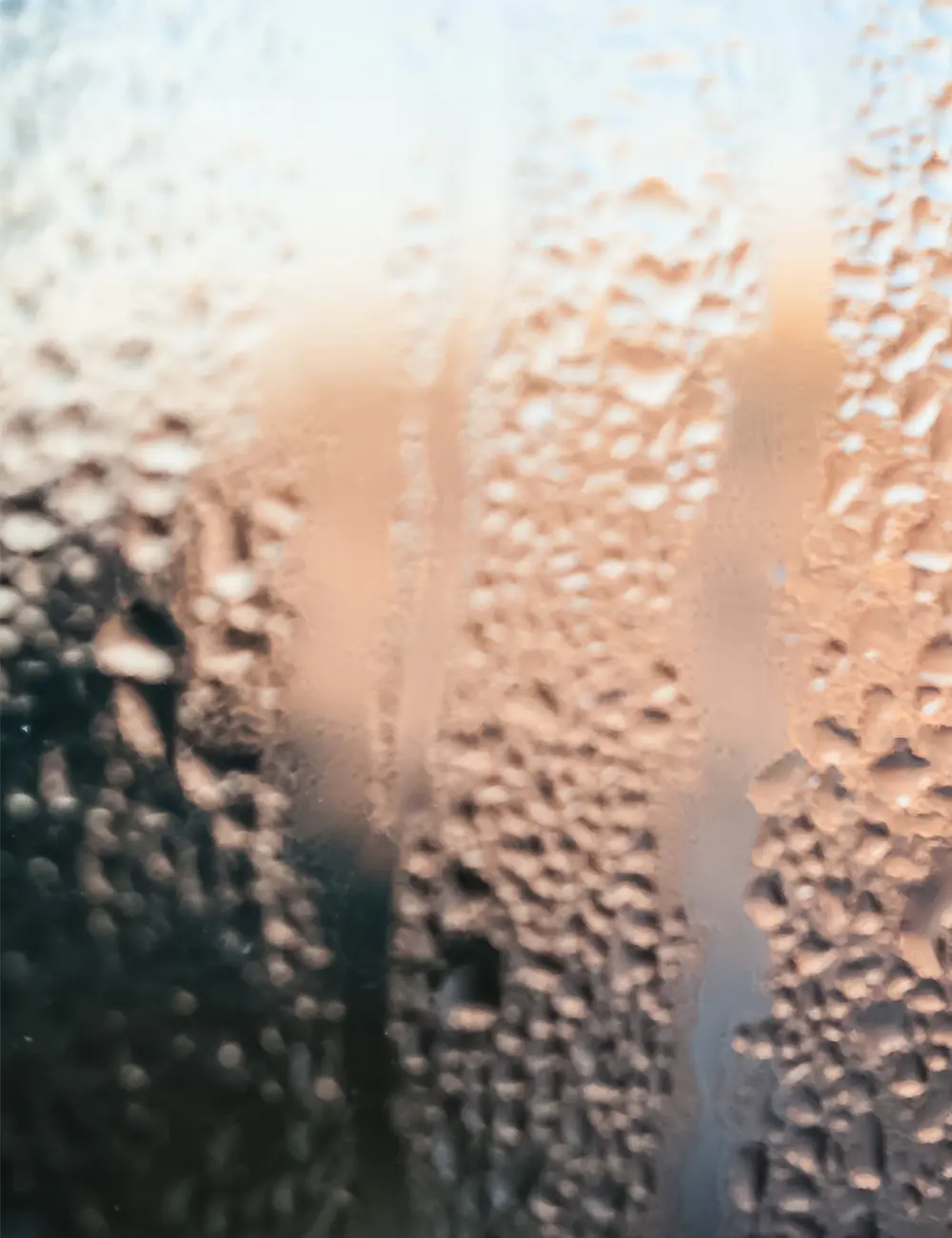 fenster koennen mehr neues fenster