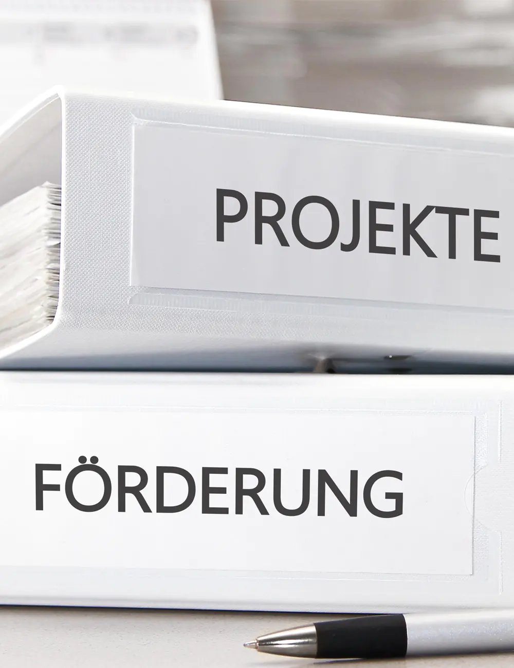 fenster koennen mehr zuschussfoerderung