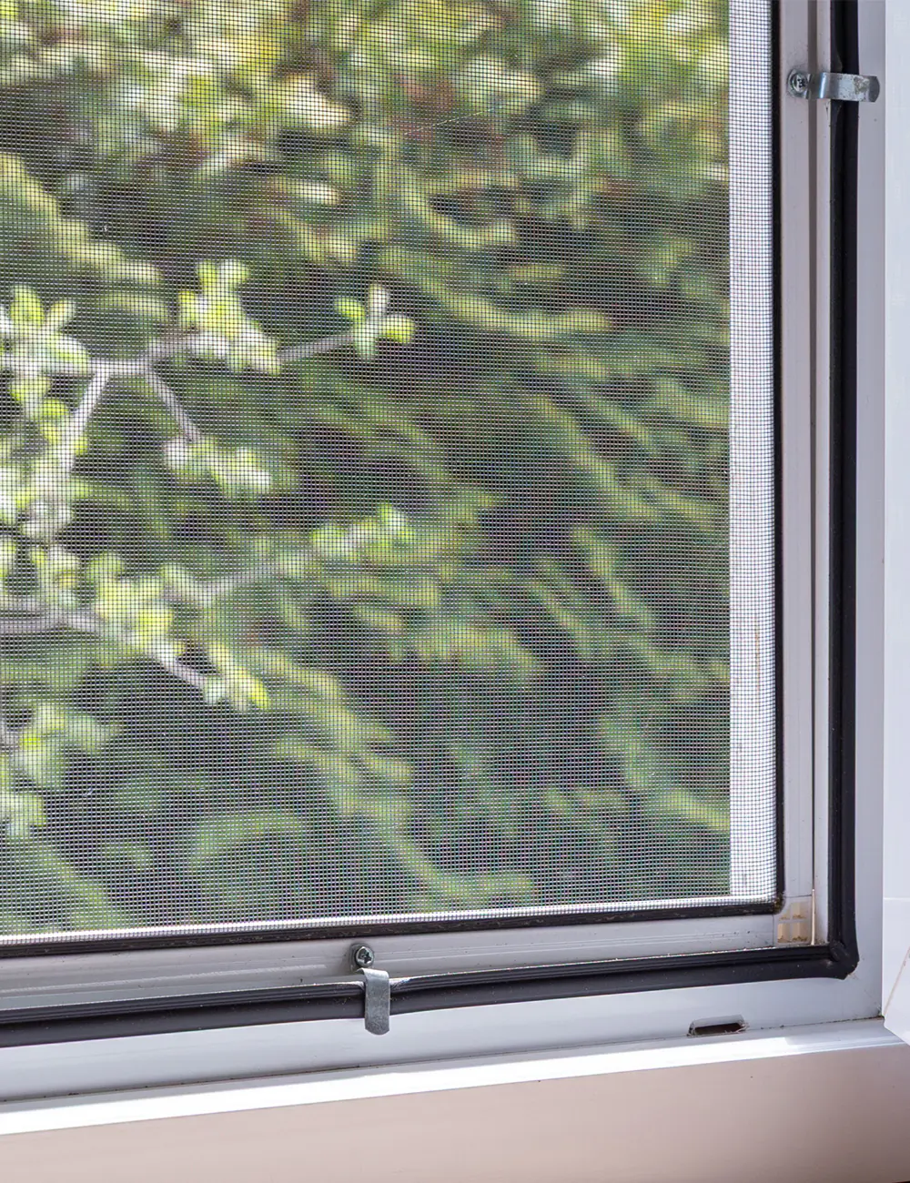 fenster koennen mehr passgenaues Fliegengitter